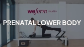 thumbnail of medium Prenatal Lower Body