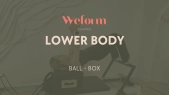 thumbnail of medium Lower Body