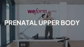 thumbnail of medium Prenatal Upper Body